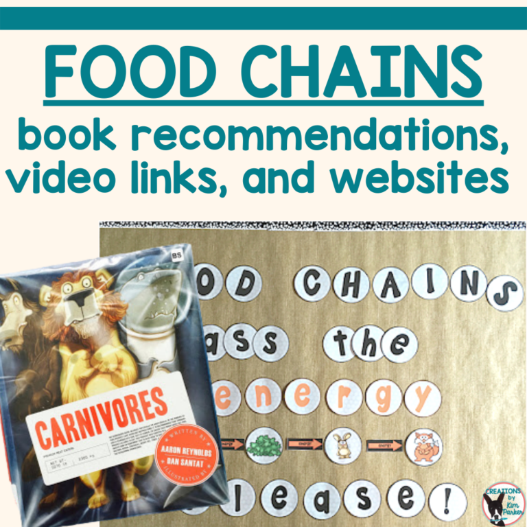 Food Chains Lesson Ideas Biology Diagrams